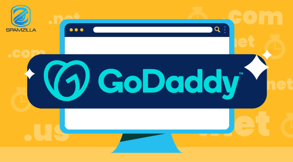 GoDaddy Domain Expiration Grace Period