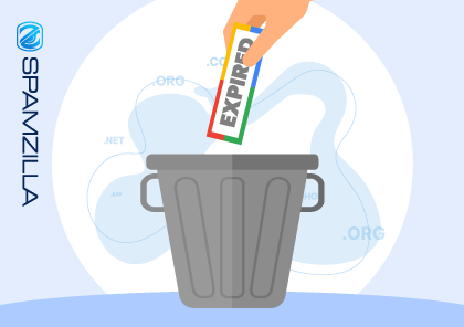 Google Domain Name Deletion