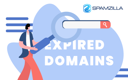 What Is an Expired Domain Finder?