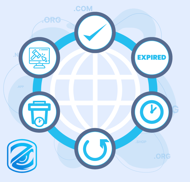 The Life Cycle of a Domain