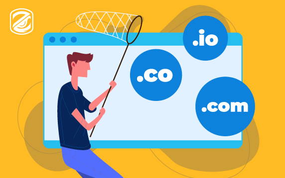 What Is a Domain Drop-Catch?
