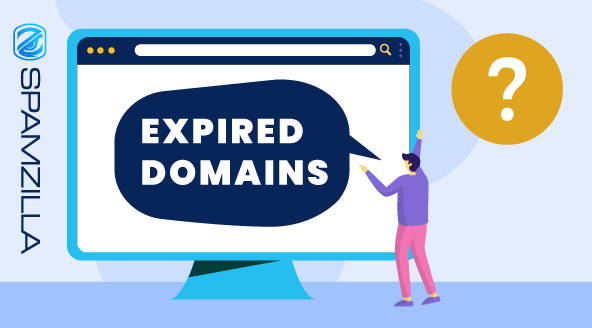 What Is an Expired Domain?