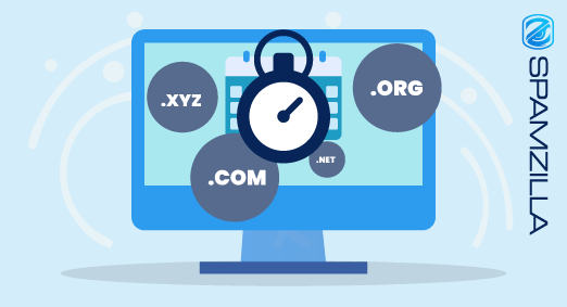 Expiry date of the domain name