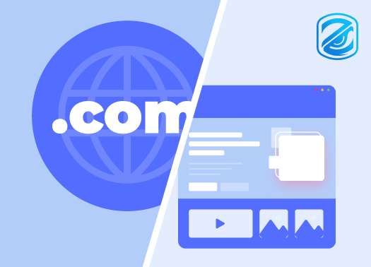 Domain Name Age vs. Website Age
